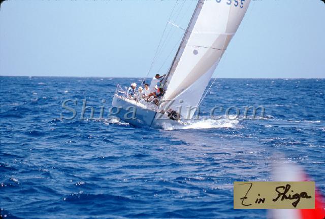 s0000052113.jpg