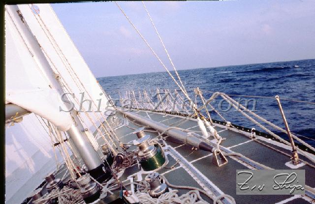 s0000068117.jpg