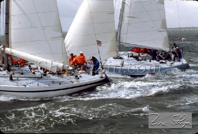 s0000102146.jpg