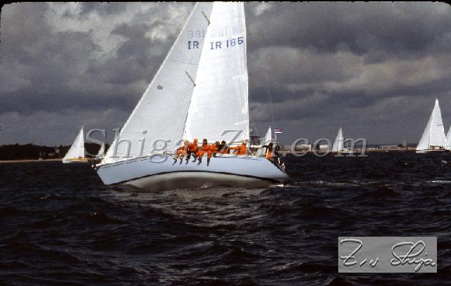 s0000103135.jpg