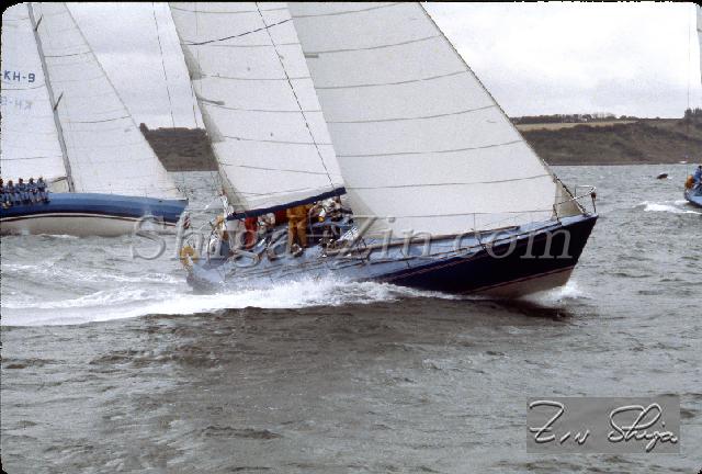 s0000107135.jpg