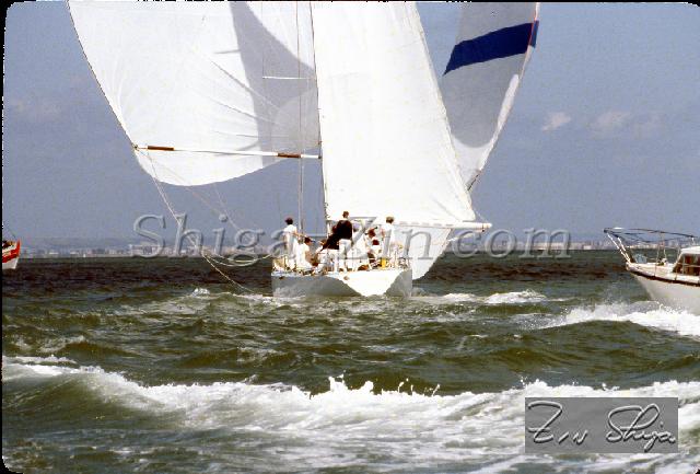 s0000107157.jpg