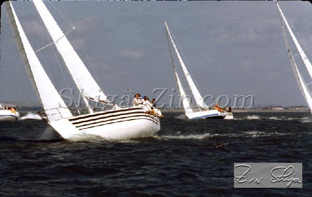s0000107166.jpg