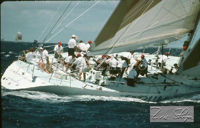 s0000119143.jpg