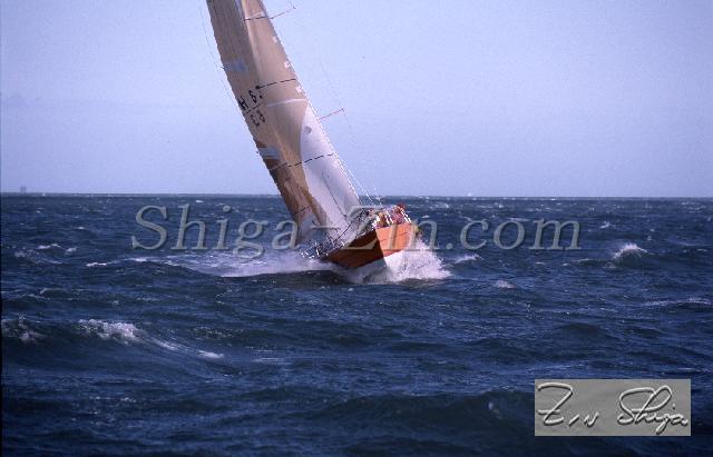c0000597154.jpg