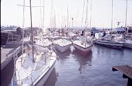 c0000281194
