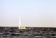 c0000282129