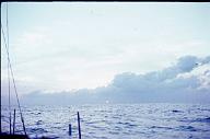 c0000315169