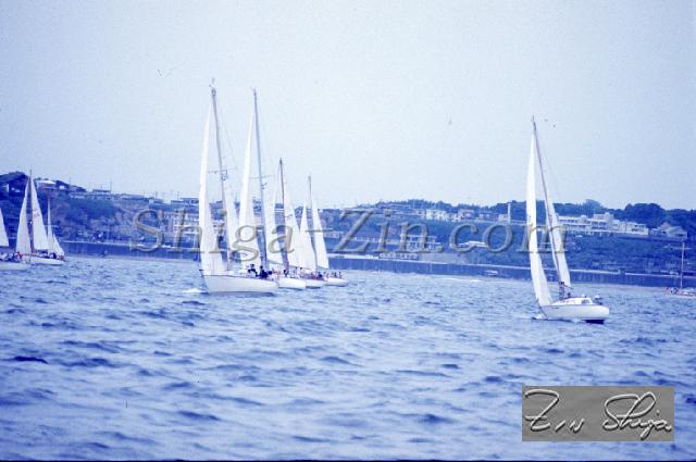 c0000317122.jpg