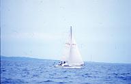 c0000317118