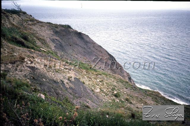 c0000713110.jpg